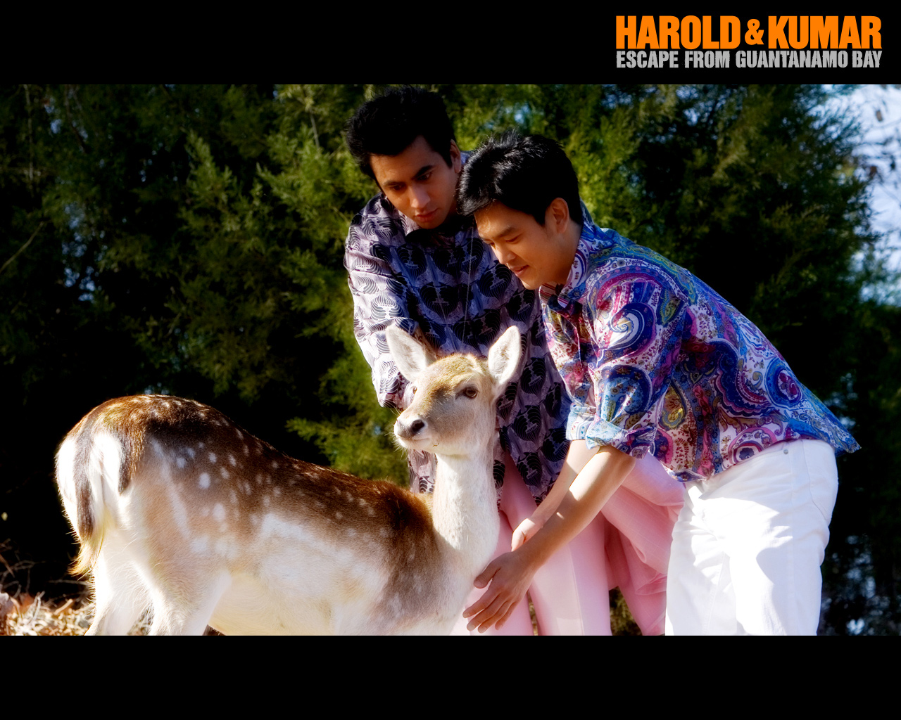 Wallpapers Movies Harold et Kumar 2 