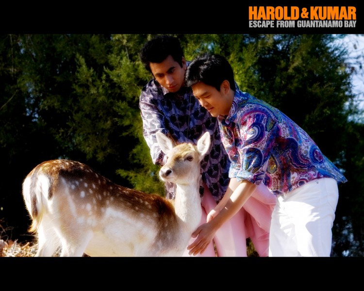 Wallpapers Movies Harold et Kumar 2 Wallpaper N195033