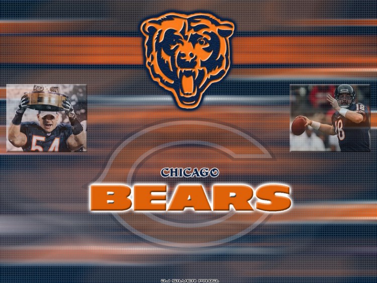 Fonds d'cran Sports - Loisirs Football Amricain Chicago Bears