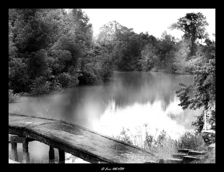 Wallpapers Nature Rivers - Torrents Brumes de Tonnegrande