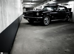 Wallpapers Cars Ford mustang