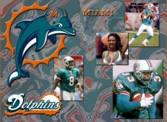 Fonds d'cran Sports - Loisirs Miami Dolphins