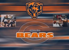 Wallpapers Sports - Leisures Chicago Bears