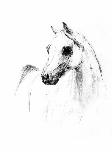 Wallpapers Art - Pencil Animals - Horses Cheval