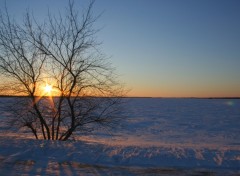 Wallpapers Nature Coucher Glacial