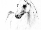 Fonds d'cran Art - Crayon Cheval