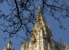 Fonds d'cran Constructions et architecture l'glise saint maclou de rouen devant un arbre