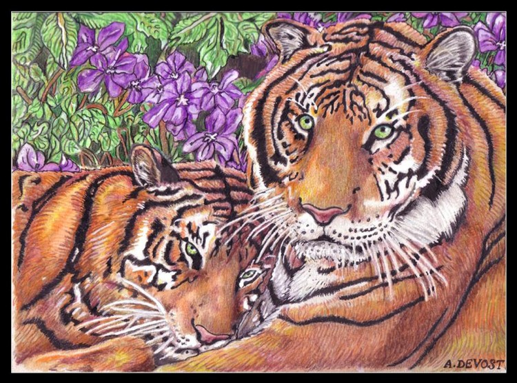 Fonds d'cran Art - Peinture Animaux Bengale