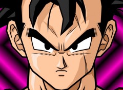 Wallpapers Manga Gohan