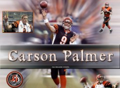 Wallpapers Sports - Leisures Carson Palmer