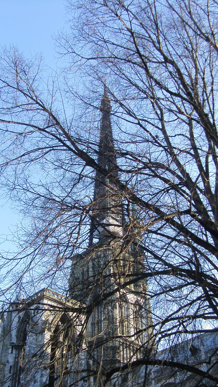 Wallpapers Constructions and architecture Religious Buildings la cahtdrale de Rouen   travers les arbres