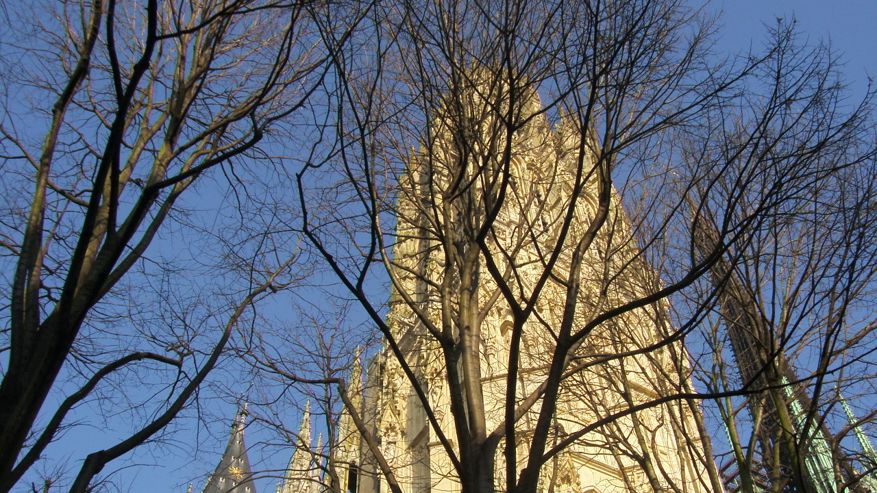 Fonds d'cran Constructions et architecture Edifices Religieux la tour de beure de la cathdrale de Rouen  travers les arbres