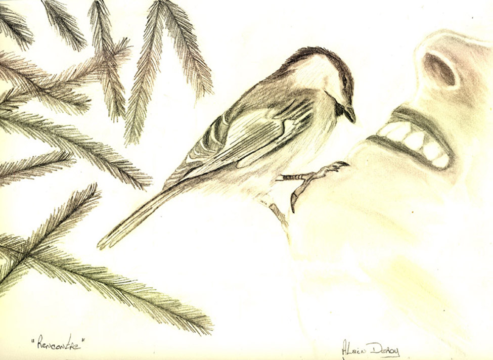 Fonds d'cran Art - Crayon Animaux - Oiseaux - Rapaces rencontre au Qubec