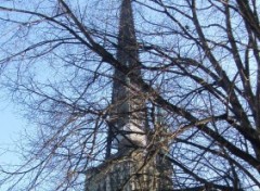 Wallpapers Constructions and architecture la cahtdrale de Rouen   travers les arbres