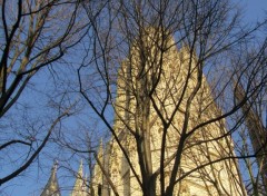 Fonds d'cran Constructions et architecture la tour de beure de la cathdrale de Rouen  travers les arbres