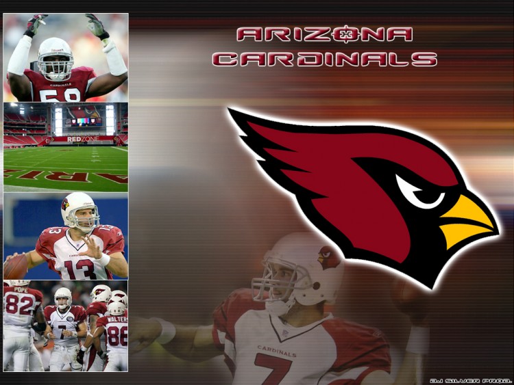 Fonds d'cran Sports - Loisirs Football Amricain Arizona Cardinals