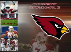 Fonds d'cran Sports - Loisirs Arizona Cardinals