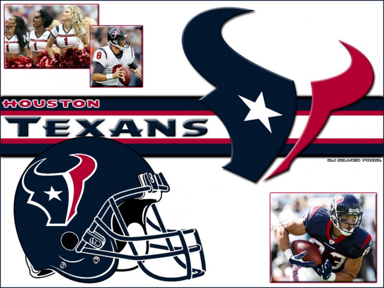 Fonds d'cran Sports - Loisirs Football Amricain Houston Texans