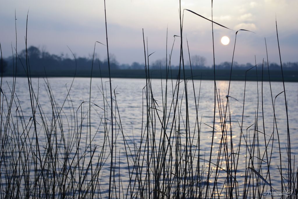 Fonds d'cran Nature Lacs - Etangs Lever du soleil en hivers