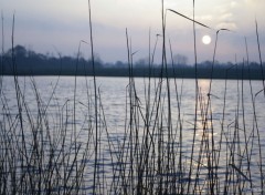 Fonds d'cran Nature Lever du soleil en hivers