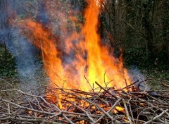 Fonds d'cran Nature Feu