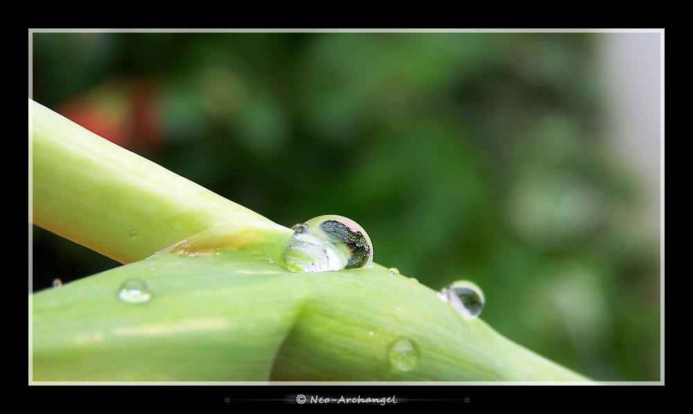 Wallpapers Nature Water - Drops Sur la descente...