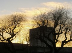 Fonds d'cran Nature des arbres  Darnetal sous le solei couchant