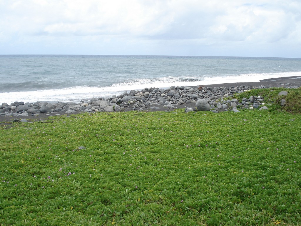 Fonds d'cran Nature Mers - Océans - Plages COTE EST