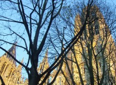 Wallpapers Constructions and architecture la cathdrale de rouen   travers les arbres et les dcos de noel