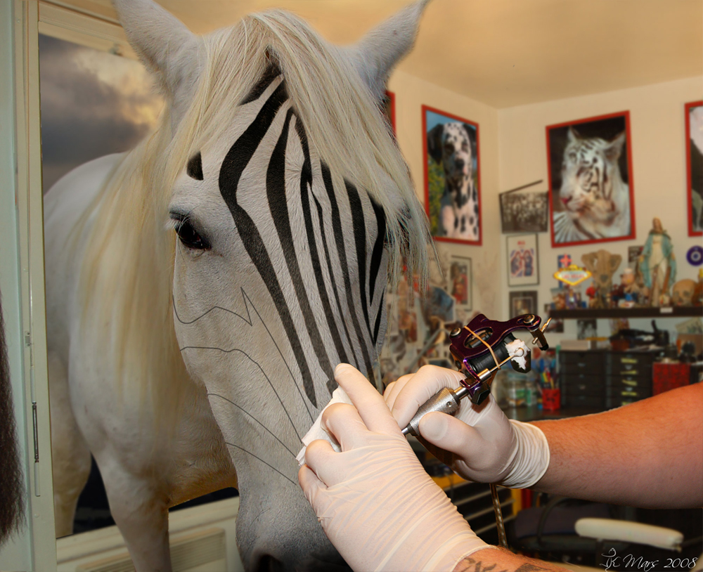 Wallpapers Digital Art Tattoos become zebra