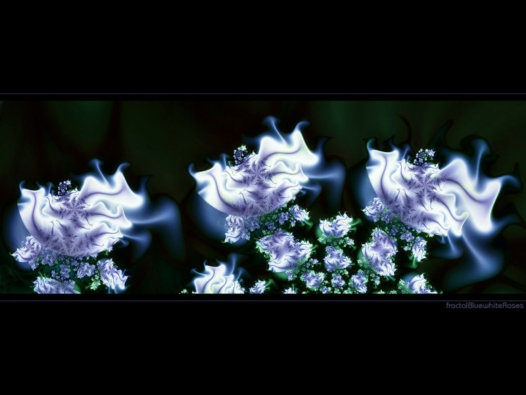 Wallpapers Digital Art Nature - Flowers Wallpaper N197304