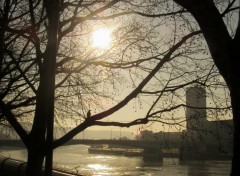 Fonds d'cran Nature la seine au soleil sous le regard d'un oiseau perch sur un arbre