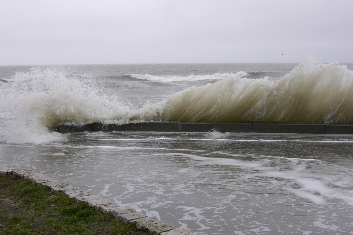 Fonds d'cran Nature Mers - Ocans - Plages grande mare