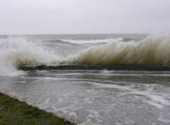 Fonds d'cran Nature grande mare