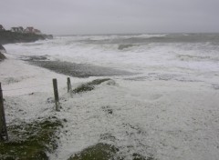 Fonds d'cran Nature grande mare