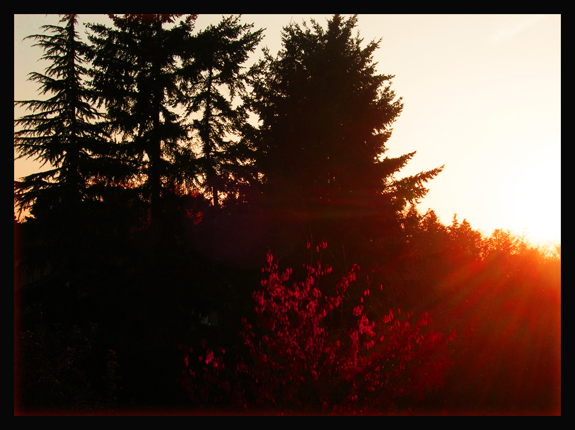 Fonds d'cran Nature Couchers et levers de Soleil Coucher de soleil