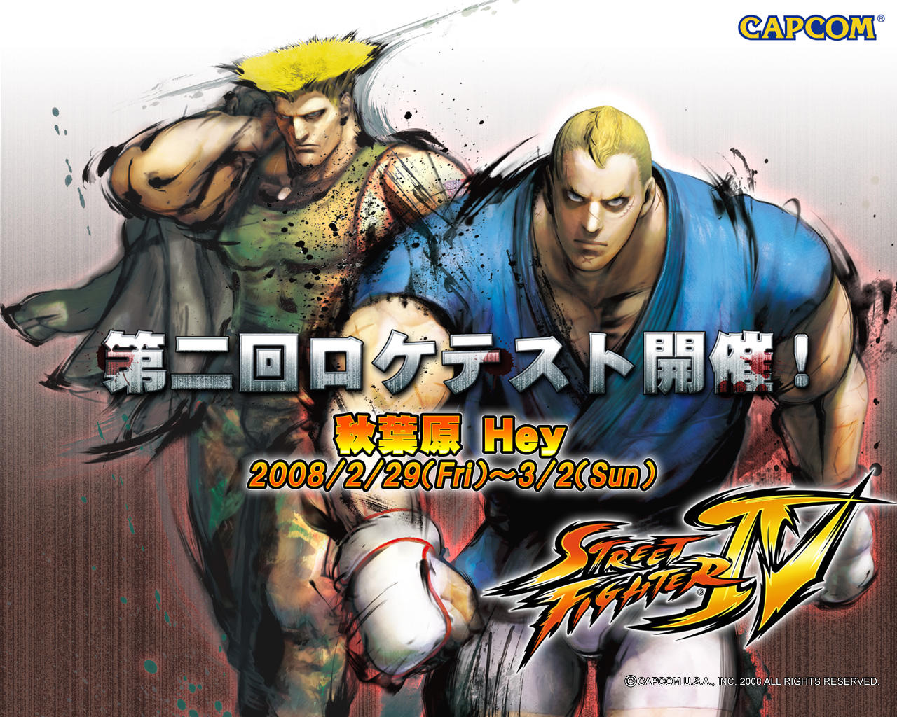 Fonds d'cran Jeux Vido Street Fighter IV 