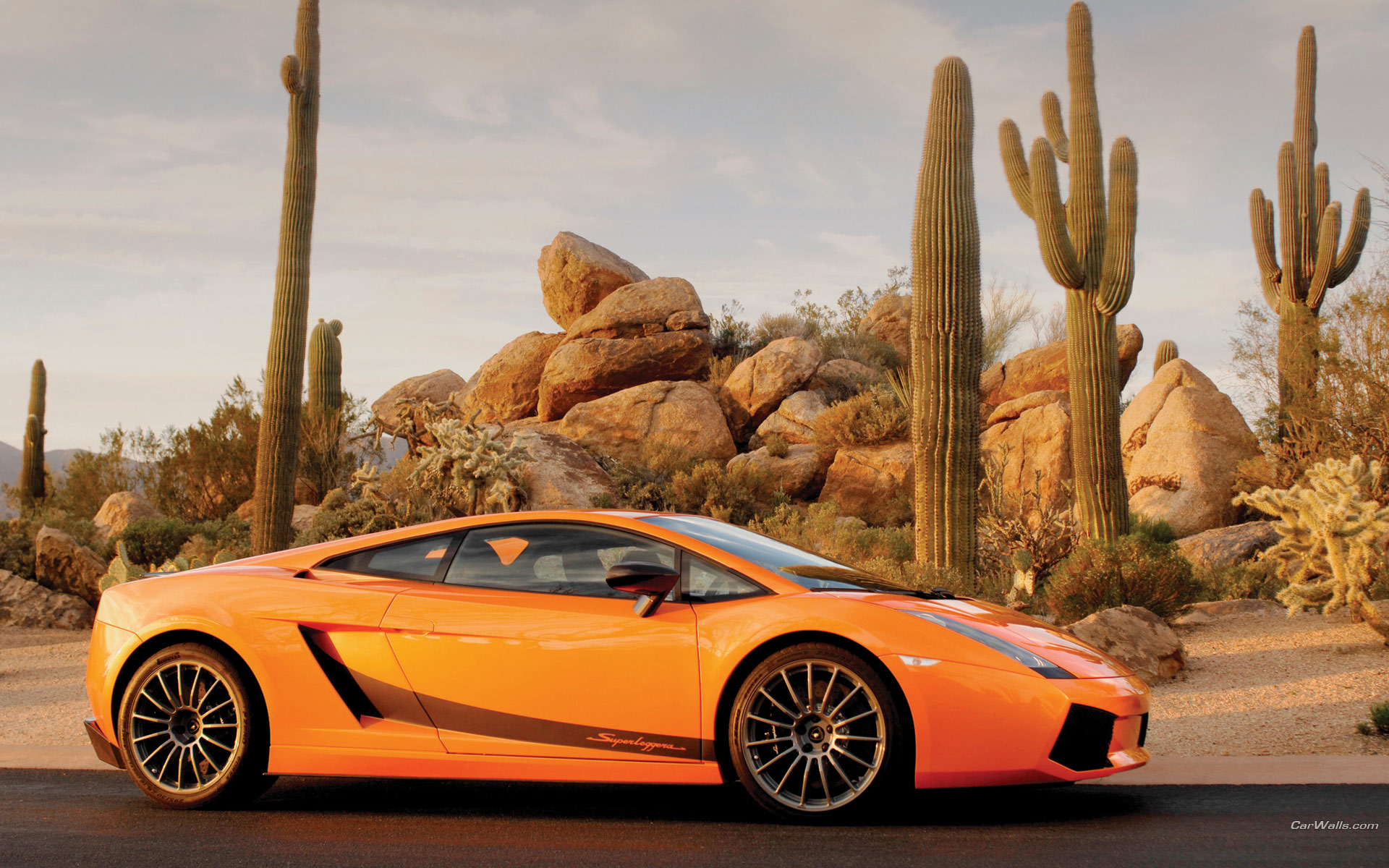 Wallpapers Cars Lamborghini Lamborghini Gallardo