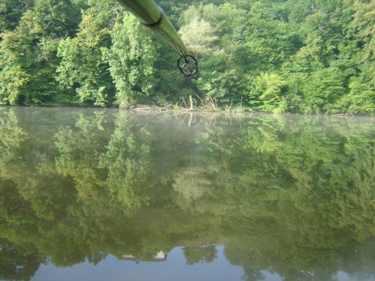 Fonds d'cran Nature Fleuves - Rivires - Torrents Vue d'une canne