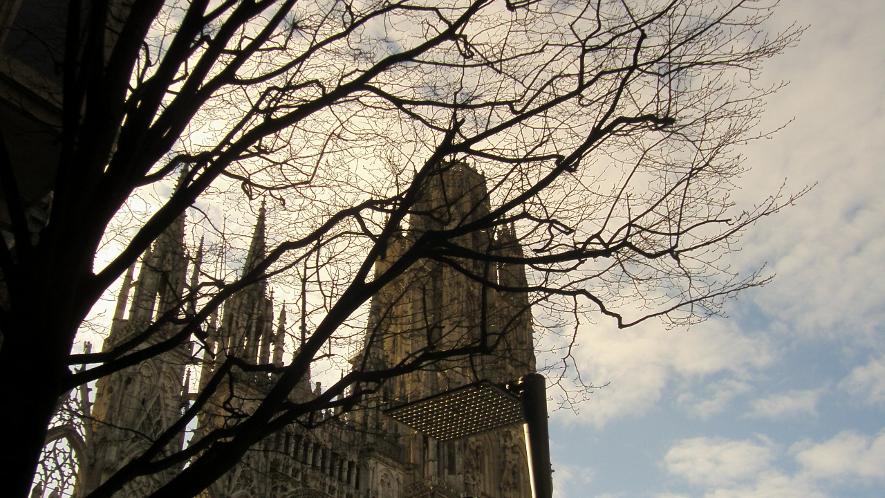 Wallpapers Constructions and architecture Religious Buildings la cathdrale de Rouen et un arbre sous le soleil