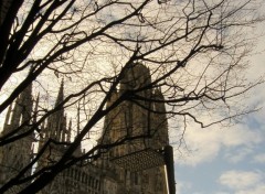 Wallpapers Constructions and architecture la cathdrale de Rouen et un arbre sous le soleil