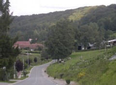 Fonds d'cran Nature autour de Clenleu