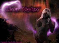 Fonds d'cran Erotic Art Drow Priestess