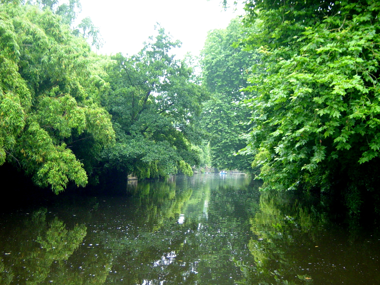 Fonds d'cran Nature Lacs - Etangs le calme