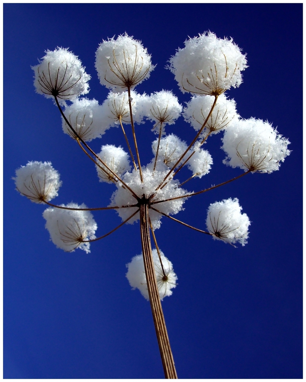 Fonds d'cran Nature Saisons - Hiver Boules de neige