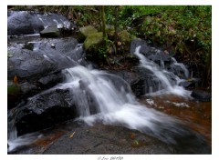 Fonds d'cran Nature Source du Rorota