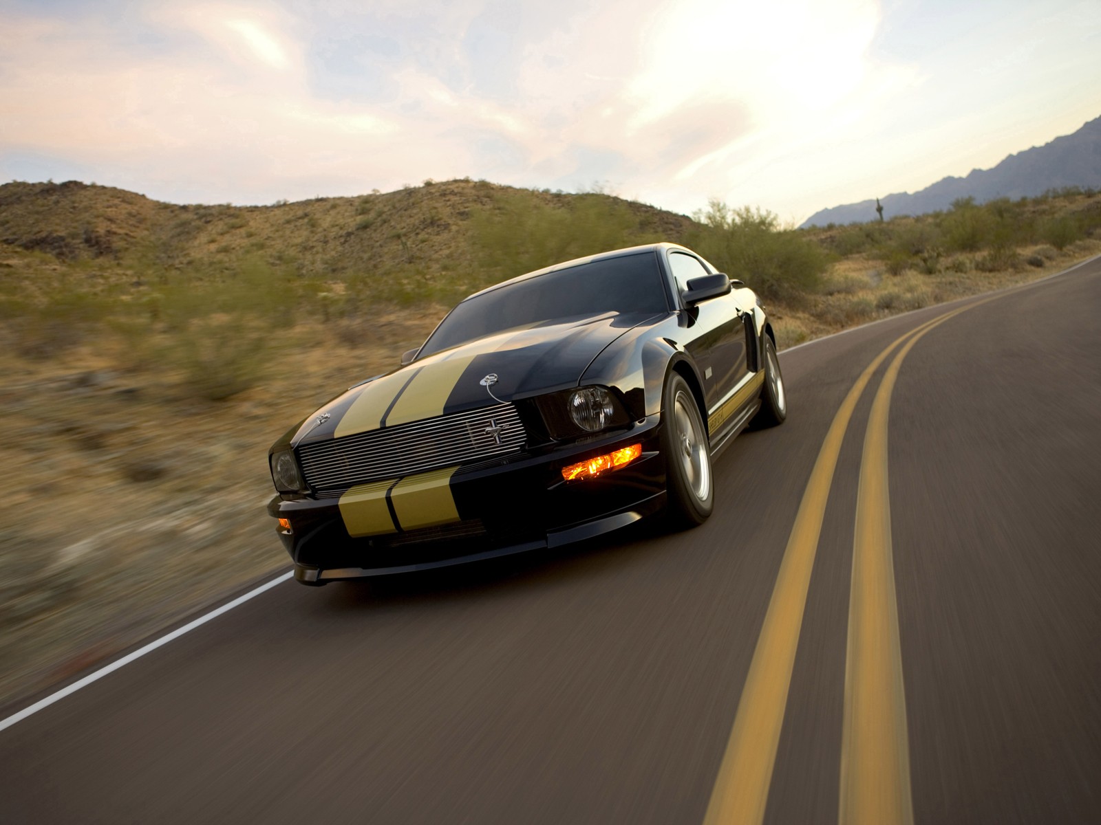 Fonds d'cran Voitures Shelby GT H