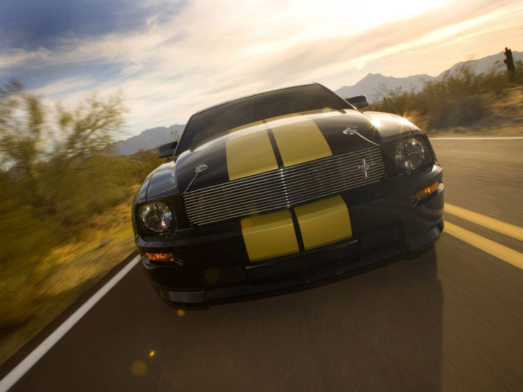 Fonds d'cran Voitures Shelby GT H