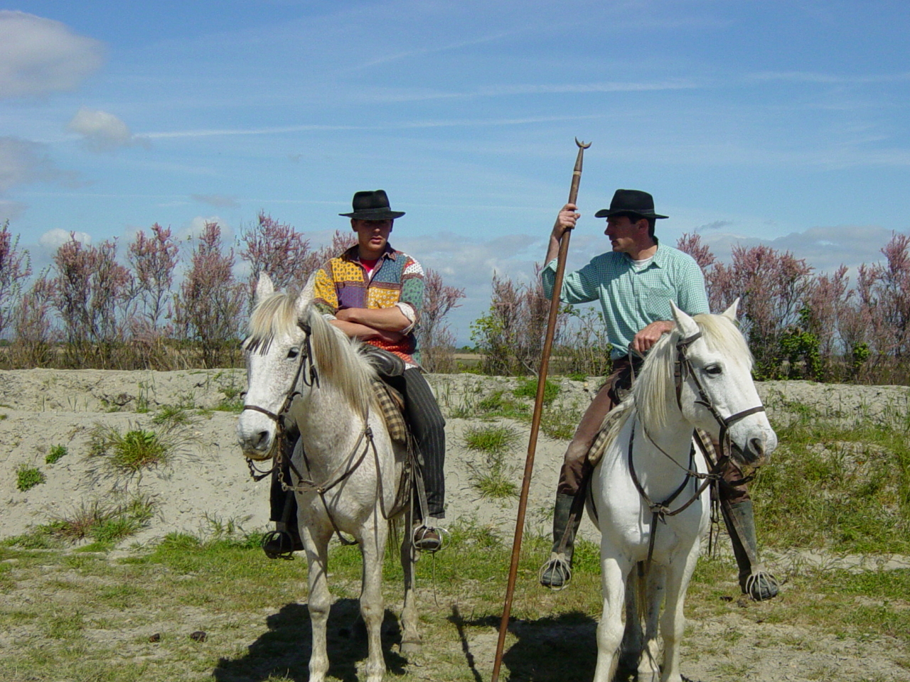 Wallpapers Sports - Leisures Horseriding 2 guardians