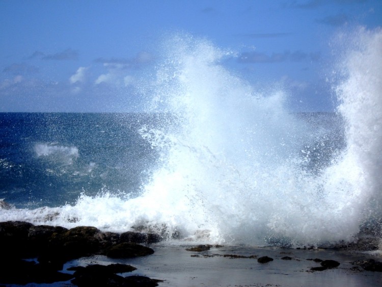 Fonds d'cran Nature Mers - Ocans - Plages FURIE